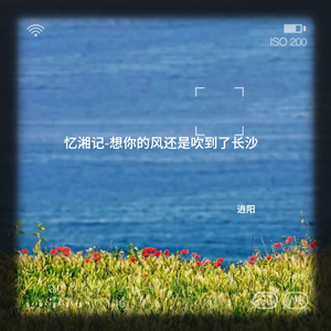 想你的风还是吹到了长沙