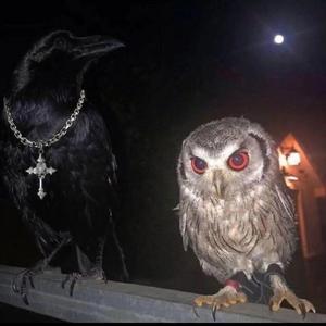 OUT THE POUND (feat. AP)