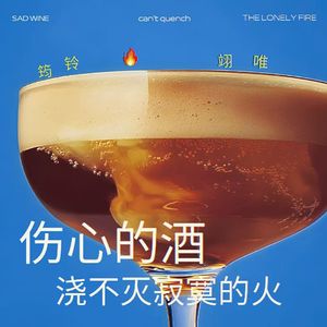 伤心的酒浇不灭寂寞的火