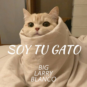soy tu gato