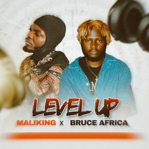 Level Up (feat. Bruce Africa)