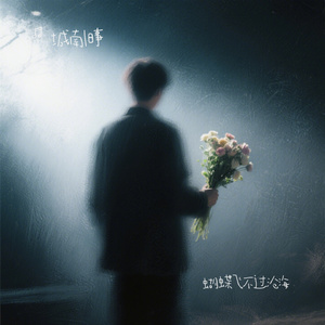 蝴蝶飞不过沧海