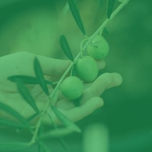 精彩周日的早午餐环境