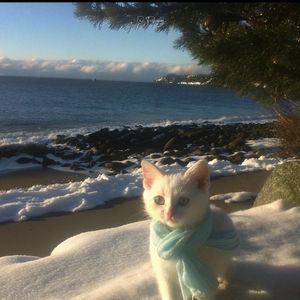 我们，是彼此的错别字