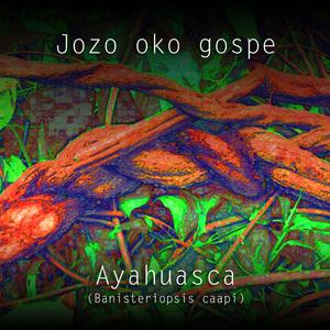 Ayahuasca (Banisteriopsis Caapi)