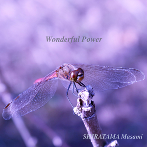 悲しみを乗り越えて