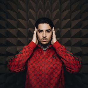 ÄÄNET (DON'T BRING ME DOWN)