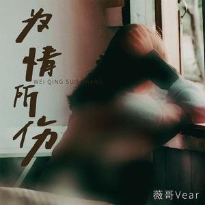 为情所伤 (豪大大DJ版)