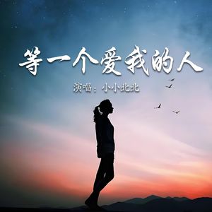 等一个爱我的人