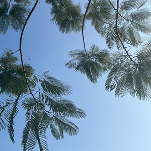 【FREE】 自 由