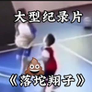 大型纪录片《落坨翔子》