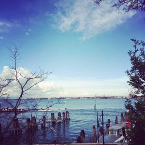 竞（许鑫淼演奏）