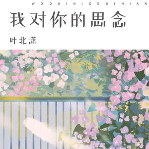 我对你的思念 伴奏