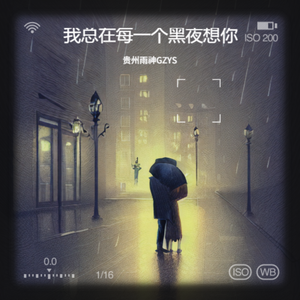 我总在每一个黑夜想你
