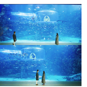 바보야（fool）（Cover KEN）