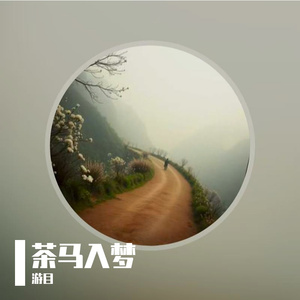 新茶马入梦