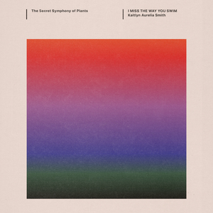 I Miss The Way You Swim