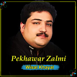 Pekhawar Zalmi