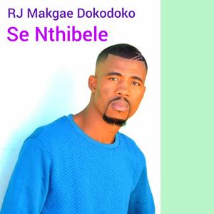 Se nthibele