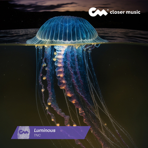 Luminous (Instrumental)