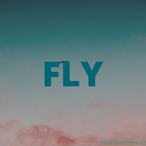 Fly