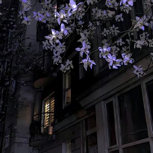 我以为我的幸福来了