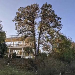 人间哀乐（唢呐曲）