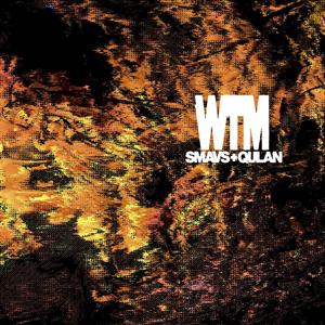 wtm (feat. qulan.)