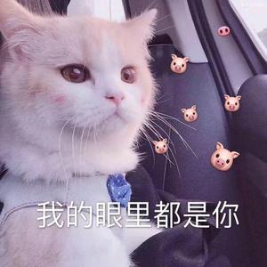 遇见你的时候所有星星都落到我头上