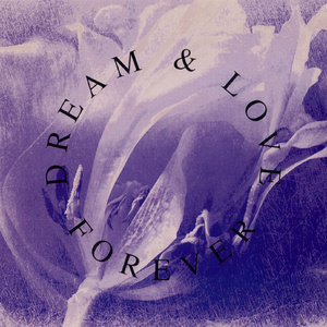 Voluptuous Simplicity Of The Line