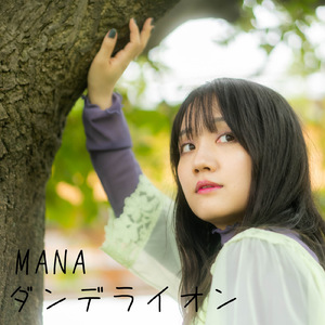 ダンデライオン