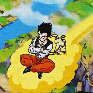 个 人 简 介 —原版1.0