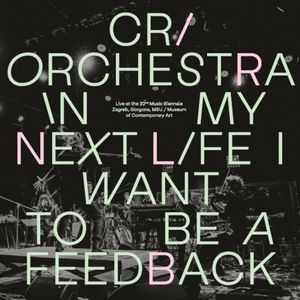 In My Next Life I Want To Be A Feedback: Part Two