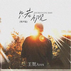 只若初见 (男声版伴奏)