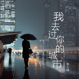 我去过你的城市