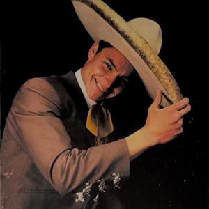 Caballo de Alta Escuela