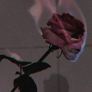 睡在哪里不都睡在夜里