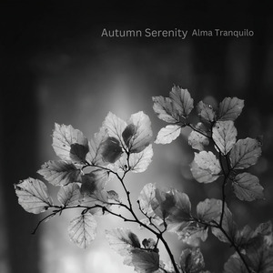 Autumn Serenity
