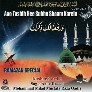 Bey khud kiyay dete hein