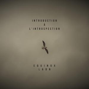 Introduction à l'introspection