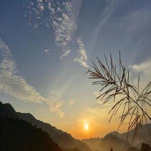 寂寞才说爱 (Cover 阿卷)