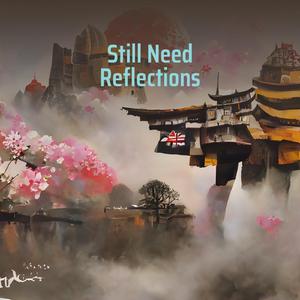 Still Need Reflections