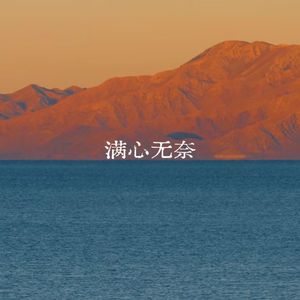 满心无奈