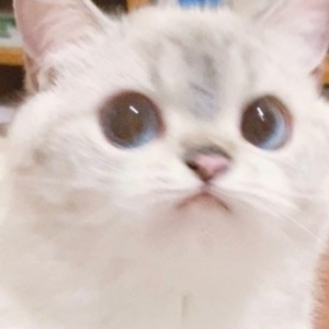 雪 Distance（cover：Capper_罗言RollFlash)