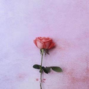 他只是经过(COVER h3R3 / 高旭)