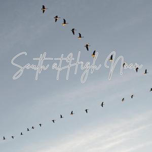 South at High Noon