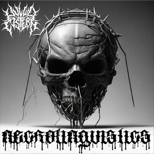 Align the Sins: Purify