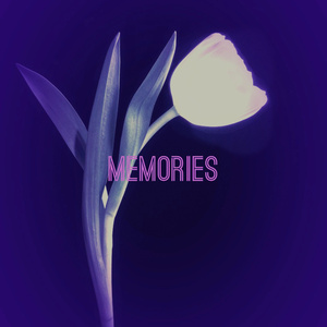 Memories