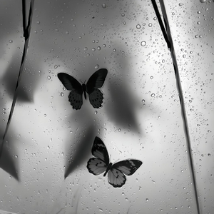 大疆防抖舞（加速版）