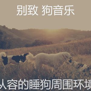 诗意的训练犬节奏